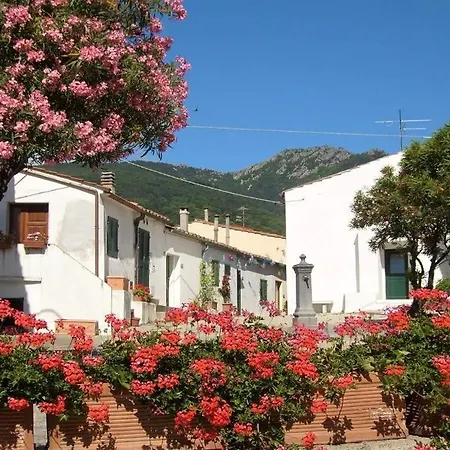 Sara 4 Apartman